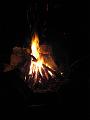 fall 2008 006